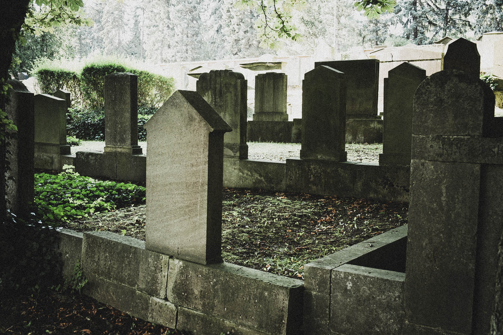 Jüdischer Friedhof Kassel-Bettenhausen